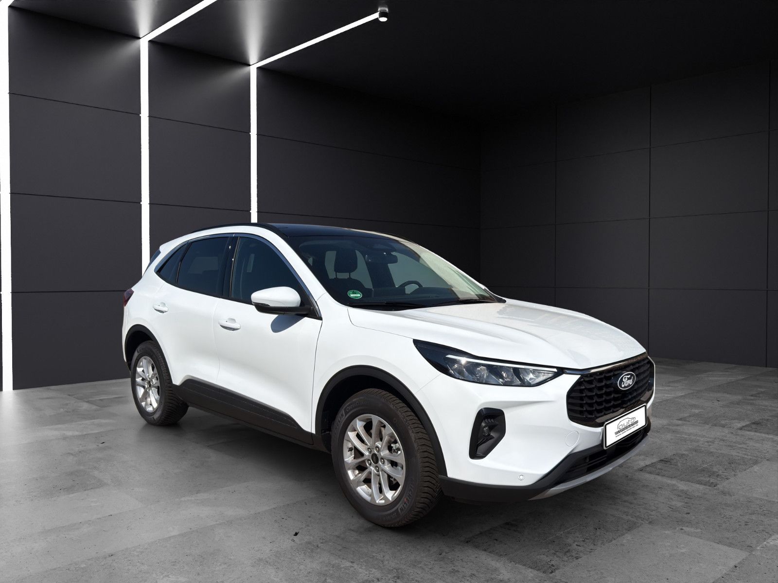 Fahrzeugabbildung Ford Kuga Titanium/Pano/Shz/LenkrdHZ/Rückfahrkamera