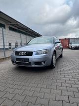 Audi A3 8p 2 Türer - Audi A3: Türer 3