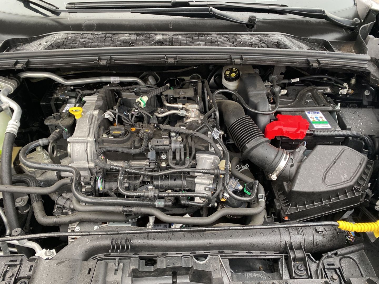 Fahrzeugabbildung Ford Puma ST-Line 1.0 EcoBoost Mild Hybrid *Sitzheizu