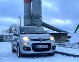 Fiat Panda 1.2 Lounge 8V - Fiat Panda Gebrauchtwagen in Bremen