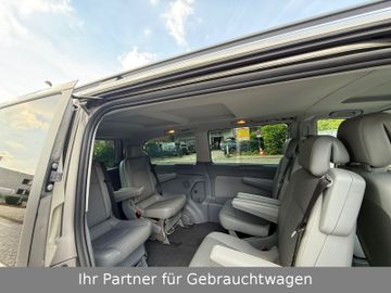 Mercedes Viano - 8