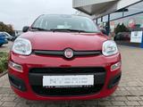 Fiat Pandina ICON - Fiat Panda Neuwagen mit Benzin-Antrieb