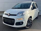 Fiat Panda More - Fiat Panda: More