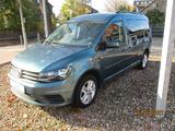 Volkswagen Caddy Maxi  Camper   AHK/Klima/5-Sitzer/DR - : Van, Camper