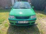 Volkswagen Polo 6n2 TÜV Neu! - Volkswagen Polo: Grün, 6n