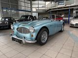 Austin Healey 100 / 6  BN4L - Austin Healey: Bn4