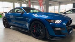 FORD Fastback Shelby GT500 HANDLING Paket 1 Hand
