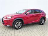 Lexus NX 300h E-FOUR Executive*Navi*GSD*el.Heckklappe - Lexus: F