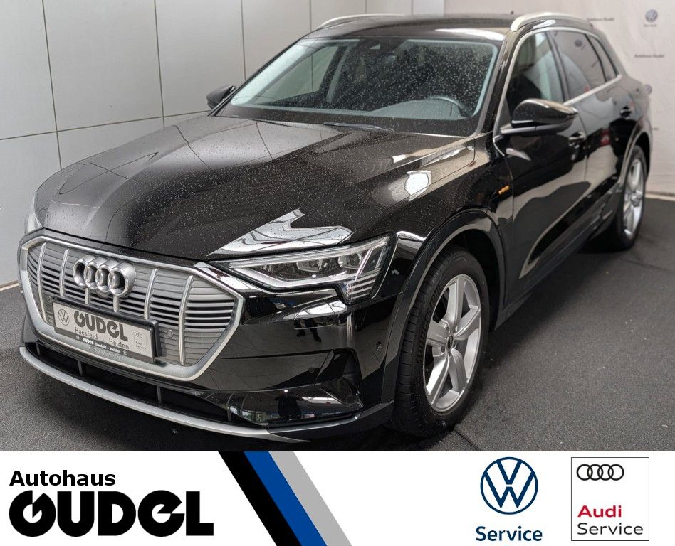 Audi e-tron 55 quattro advanced 300kW/95kWh AHK ACC