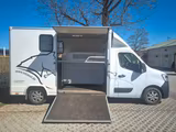 Renault Master Pferdetransporter 3,5t mit Schaltgetriebe - Tier-/Pferdetransport 3 pferde