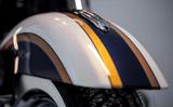 Harley-Davidson HARLEY DAVIDSON Softail Deluxe CVO, Scramin Eagl - Offers