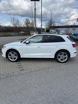 Audi Q5 3.0 TDI tiptronic quattro design design - Audi Q5 mit Diesel-Antrieb: Head-Up Display