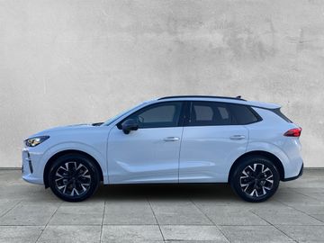 Cupra Terramar - 2