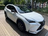 Lexus NX 300h E-FOUR F SPORT  - Lexus: Nx
