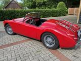 MGA