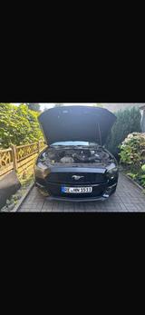 Ford Mustang V6 3,7L - Ford Mustang in Gelsenkirchen