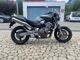 Honda CB 900 Hornet - HONDA CB 900 HORNET