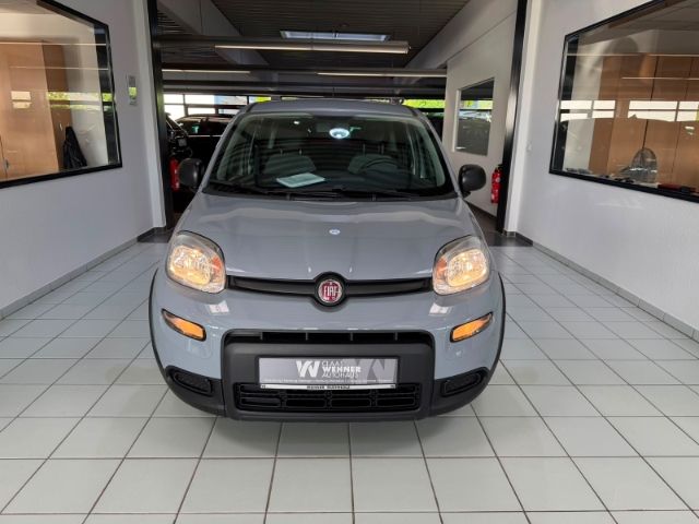Fiat Panda — fotografia 2