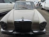 Mercedes-Benz Oldtimer Daimler Benz 250S Bj. 7/1966 - gebrauchte Mercedes-Benz 250 aus dem Jahr 1966