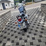 Suzuki LS 650 Savage - Angebote