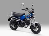 Honda ST125 DAX *2025* - KLEINKRAFTRAD