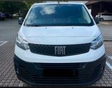 Fiat Scudo - schwarze Fiat Scudo