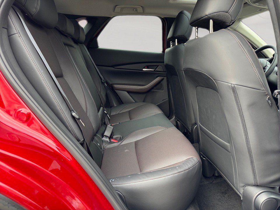 Fahrzeugabbildung Mazda CX-30 X 2.0i 186PS A/T Takumi SUNR BLOP