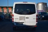 Mercedes-Benz Sprinter II Kasten 310/311/313/314/316 CDI - Mercedes-Benz: 310