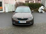 Skoda Octavia 1.8 TSI Green tec Elegance Combi Ele... - Skoda Octavia: Allradantrieb, 1.8