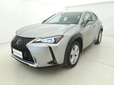 Lexus UX Hybrid Business BR435129 2.0 Full Hybri - Lexus UX mit Panoramadach