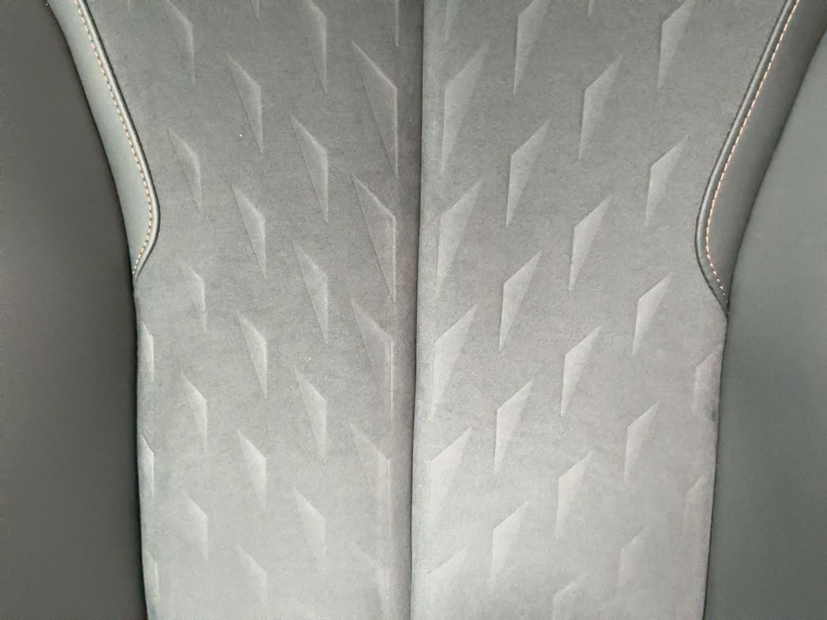 Cupra Terramar - Bild 18