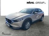 Mazda CX-30 e-SKYACTIV G 140ps 6AT FWD Centre-Line - Mazda CX-30 mit Hybrid-Antrieb: Centre Line