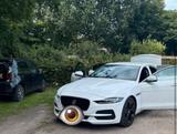 Jaguar XE P250S weiß super Fahrzeug - Jaguar XE in Hamburg