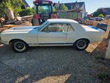 Ford Mustang - Ford Mustang aus 1967: Coupe