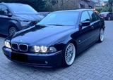 BMW 530i E39 - Individual Doppelausstattung - BMW 530 aus 2002: 530i