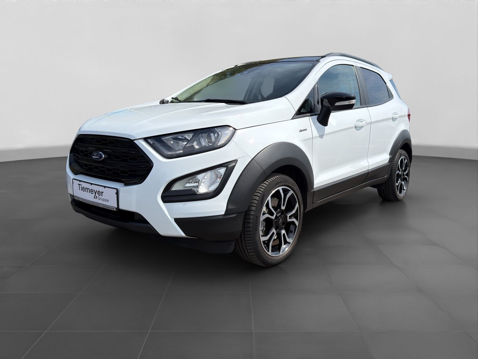 Ford EcoSport 1.0 EcoBoost ACTIVE LM17 LED SHZG imagem 2