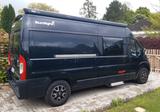 Sunlight Cliff 600 XV exklusive Ausstattg. u.fast wie neu - Sunlight A60