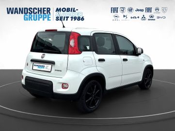 Fiat Panda 1.0 MHEV Basis KLIMA RADIO eFH ALU AWR