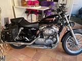 Harley-Davidson Sportster 883 - HARLEY-DAVIDSON 2006 883 SPORTSTER