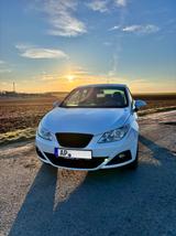 Seat Ibiza 1.4 16V Style Copa - Seat Ibiza: ST Copa