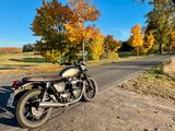 Triumph Street Twin 900 Ironstone Bonneville Top Zustand - TRIUMPH 900