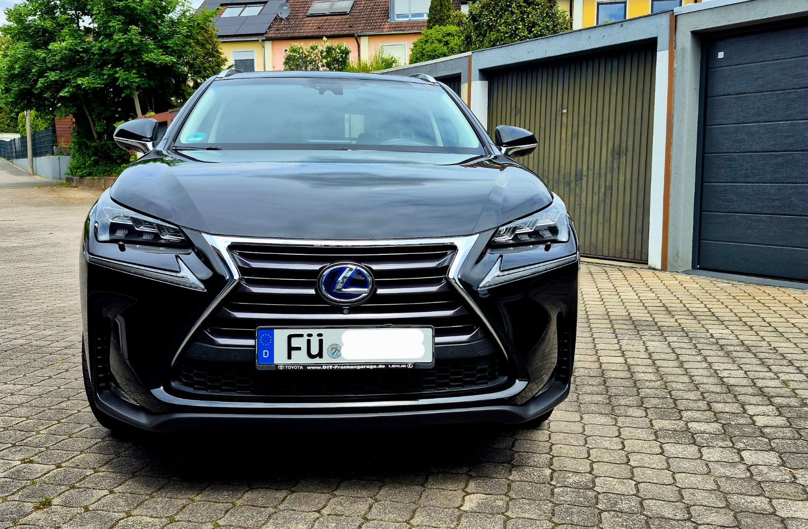 LEXUS NX 300