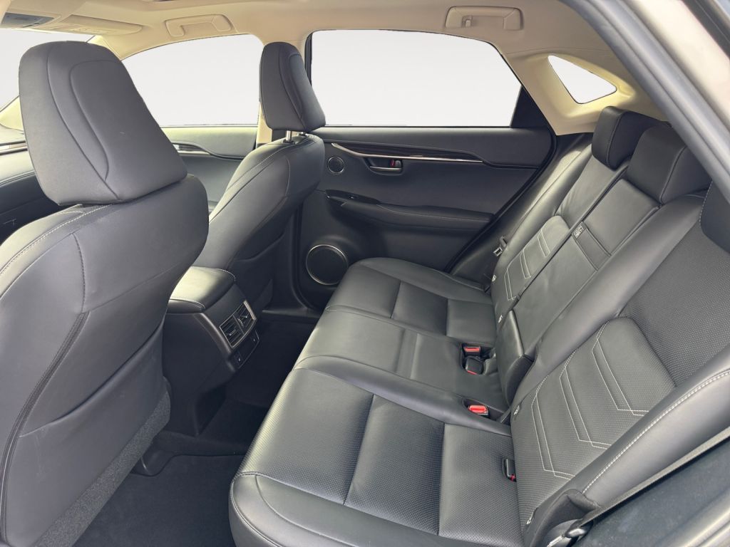 Fahrzeugabbildung Lexus NX 300h E-FOUR Luxury Line