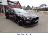 Ford Mustang Shelby GT500 *NEUWAGEN* sofort verfügbar - Ford Mustang: Shelby Gt500
