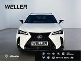 Lexus UX 300h F SPORT Design *LED*ACC*Kamera*SHZ*PDC* - scheckheftgepflegte Lexus UX