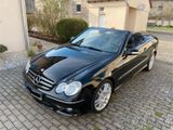Mercedes-Benz CLK 200 KOMPRESSOR Sport Edition, Leder, Xeno - Mercedes-Benz: Clk Sport
