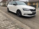 Skoda Fabia 1.4l TSI DSG R5 R5 - Skoda Fabia: 4.1
