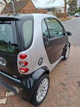 Smart ForTwo coupé passion 45kW passion - Smart ForTwo Gebrauchtwagen in Braunschweig
