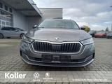 Skoda Octavia Combi 1.4 TSI iV DSG Style APP Totwinkel - Skoda Octavia: Style