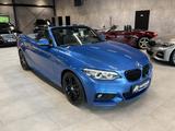 BMW 220d Cabrio M Paket H&K LED Navi M Bremse 18" - BMW 2er Reihe: M Paket